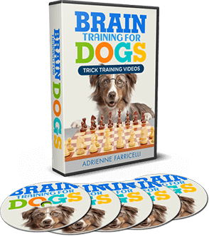 Trick Training Videos &mdash; Brain Training For Dogs bonus